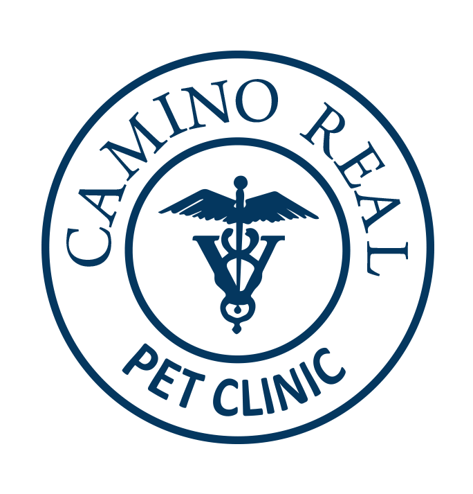 Camino Real Pet Clinic