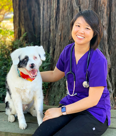 Burlingame, CA Veterinarians